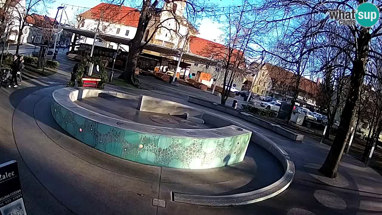 Spletna kamera Fontana Piv – Zeleno zlato Žalec