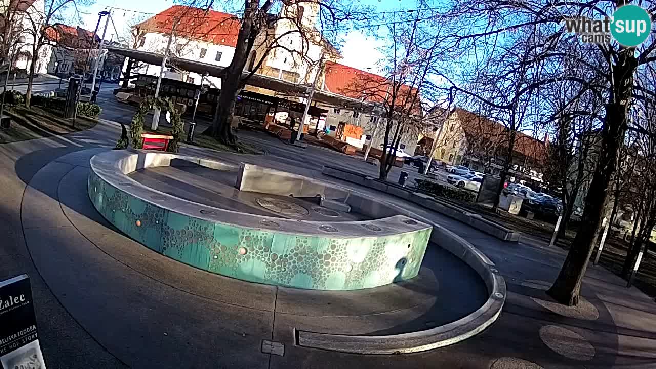 Bier-Springbrunnen Webcam Žalec – Grünen Goldes