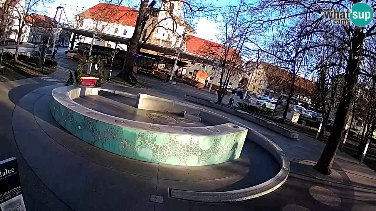 Spletna kamera Fontana Piv – Zeleno zlato Žalec