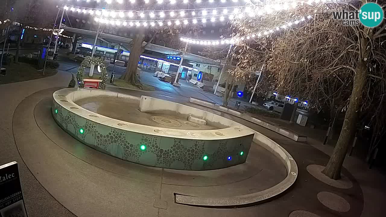 Fontana di birra Webcam – Oro verde – Žalec