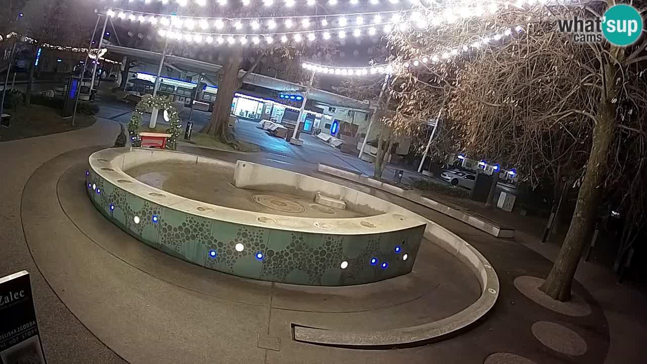 Web kamera Fontana piva – Zeleno zlato – Žalec