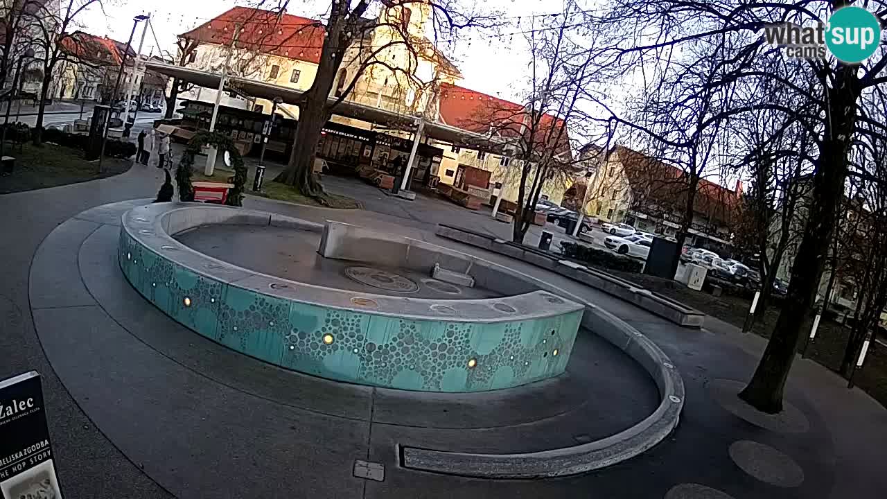 Camera en vivo Fuente de cerveza – Oro verde – Žalec