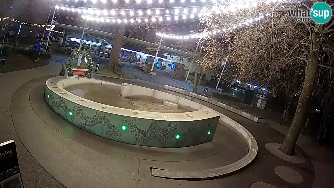Bier-Springbrunnen Webcam Žalec – Grünen Goldes