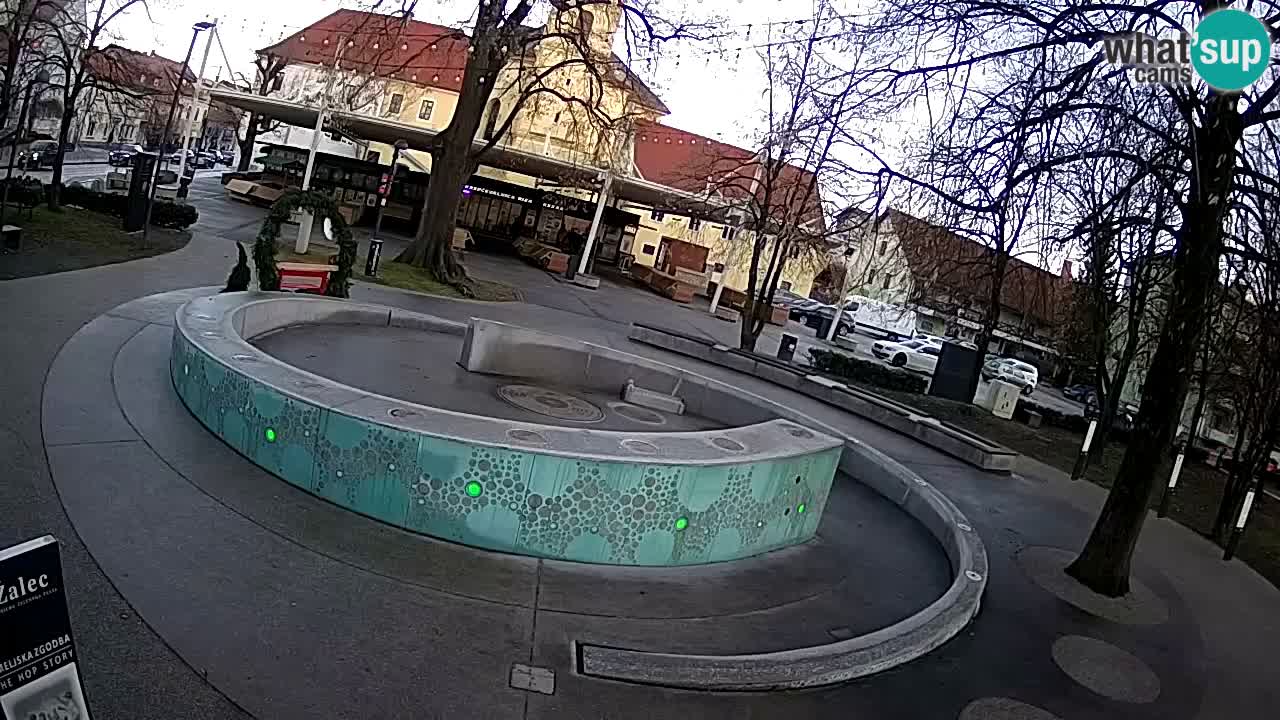 Fontaine à bière LIVE webcam – Or vert – Žalec