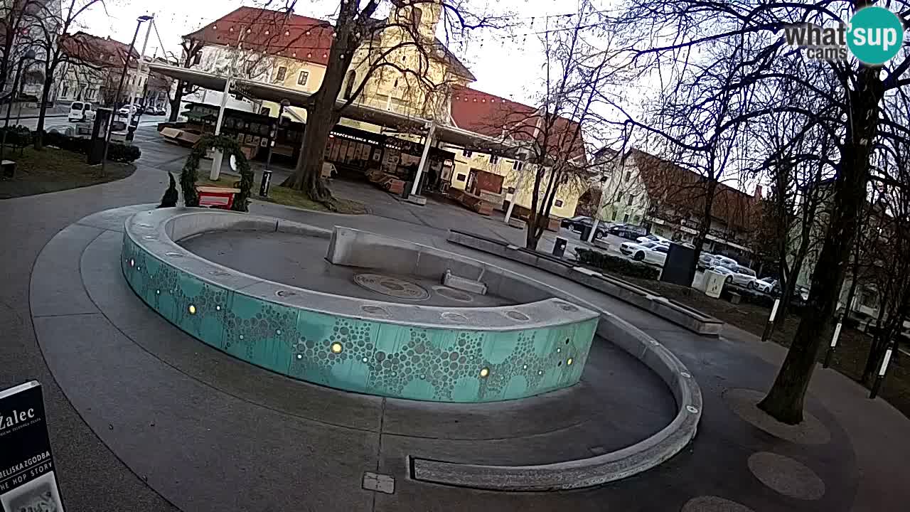 Spletna kamera Fontana Piv – Zeleno zlato Žalec