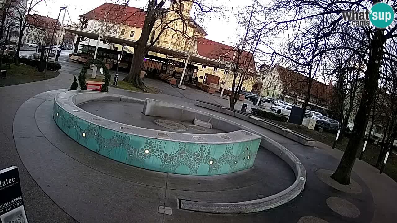 Fontana di birra Webcam – Oro verde – Žalec