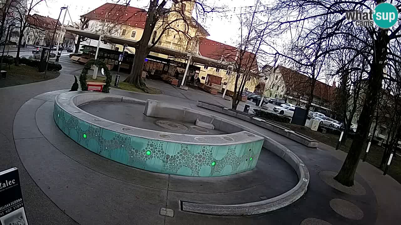 Fontana di birra Webcam – Oro verde – Žalec