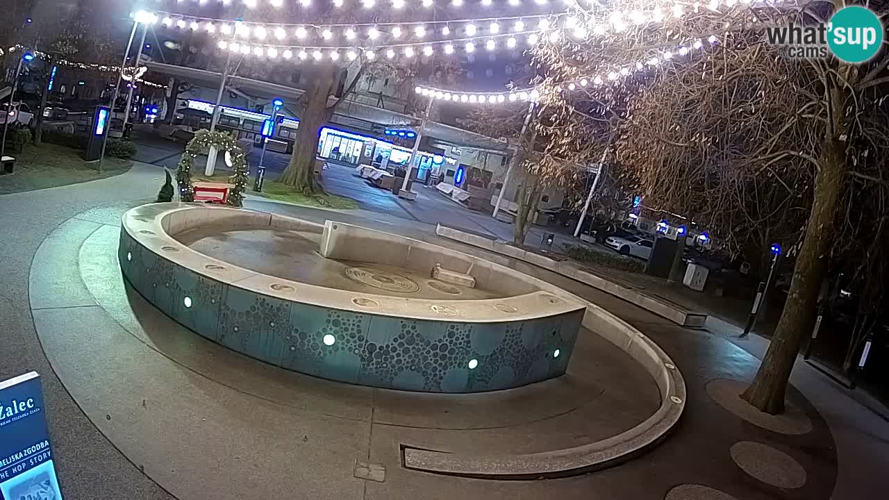 Fontana di birra Webcam – Oro verde – Žalec