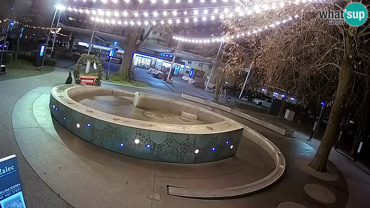 Fontana di birra Webcam – Oro verde – Žalec