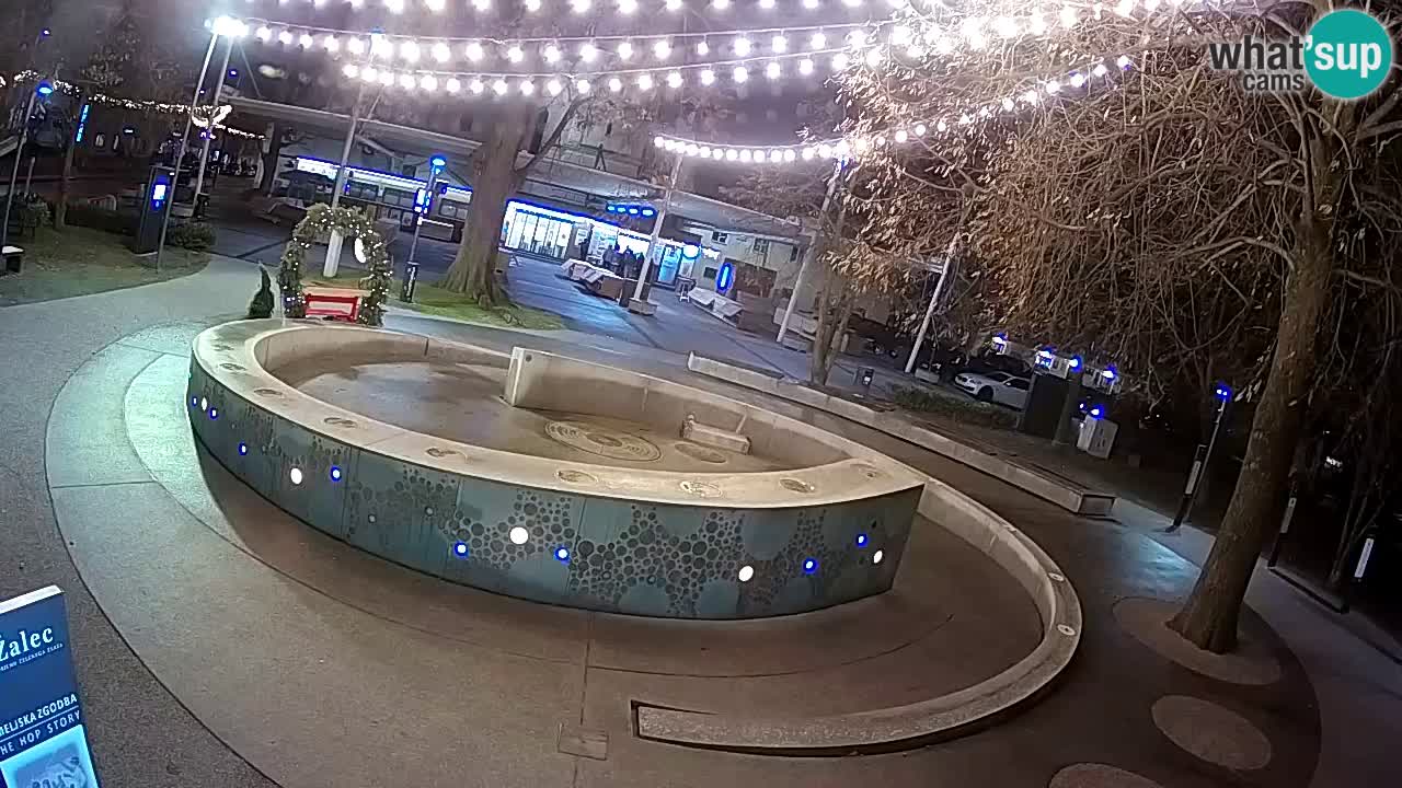Fontaine à bière LIVE webcam – Or vert – Žalec