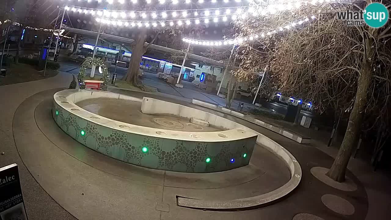 Fontaine à bière LIVE webcam – Or vert – Žalec