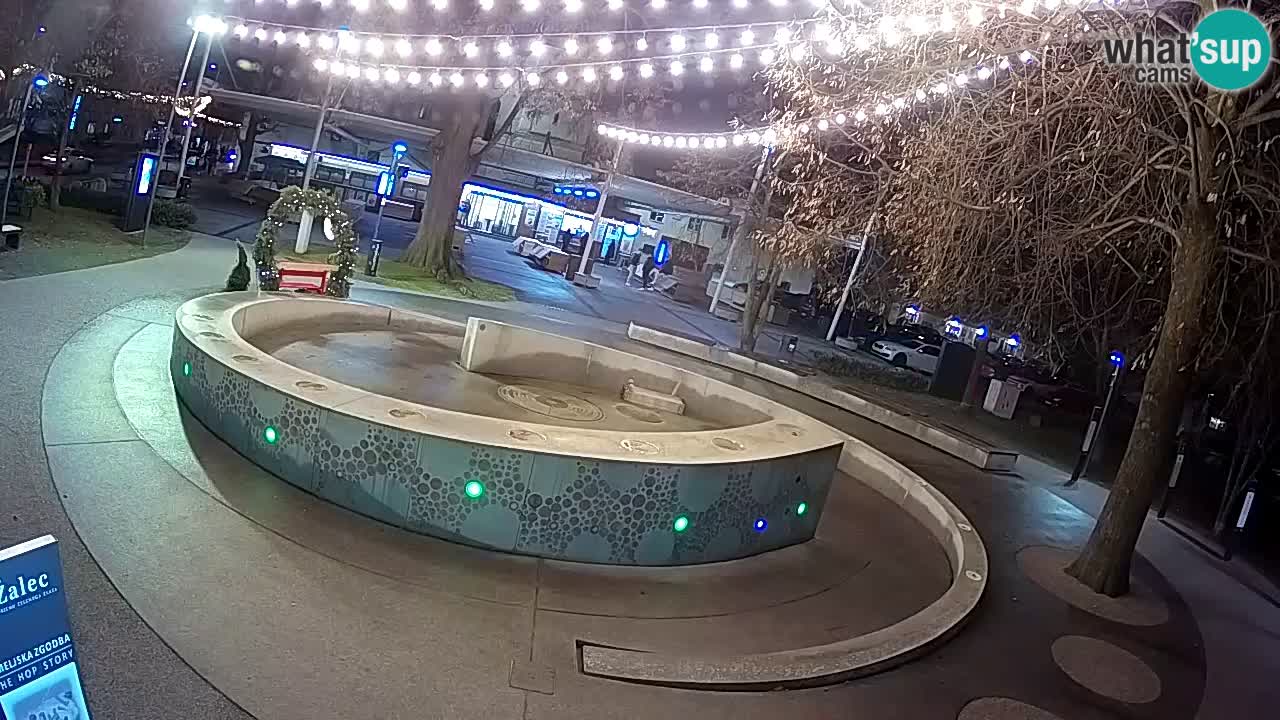 Web kamera Fontana piva – Zeleno zlato – Žalec