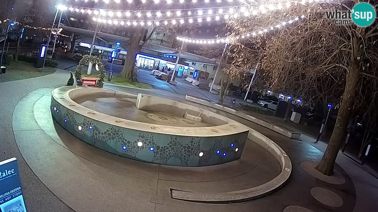 Web kamera Fontana piva – Zeleno zlato – Žalec