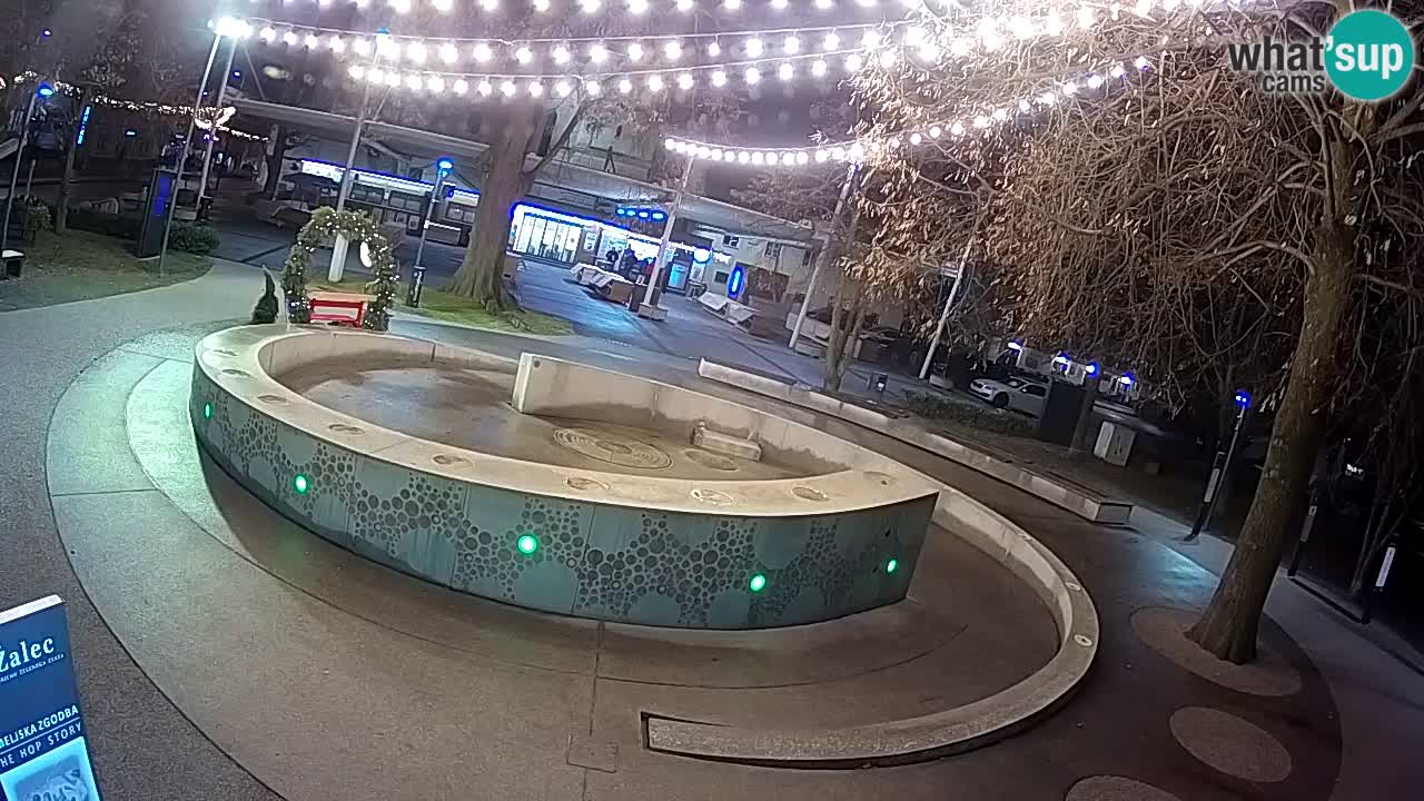 Bier-Springbrunnen Webcam Žalec – Grünen Goldes