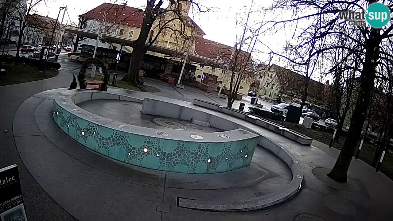 Spletna kamera Fontana Piv – Zeleno zlato Žalec