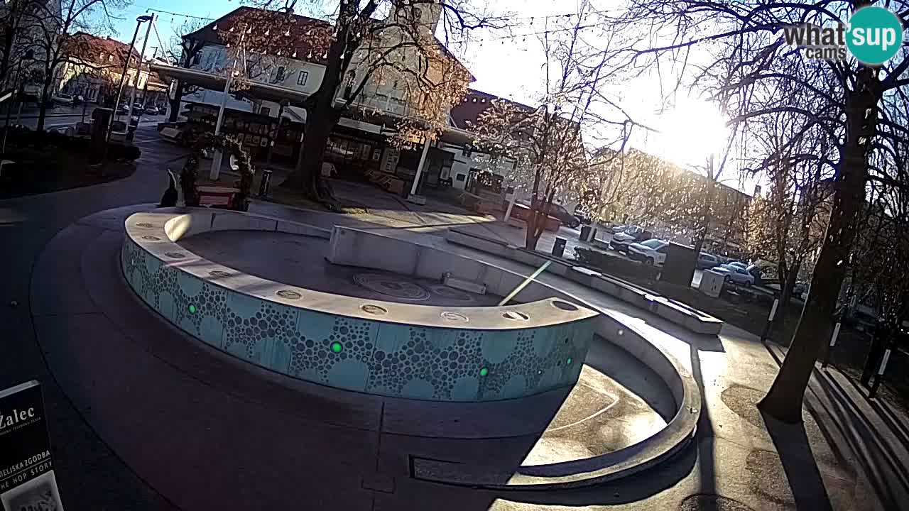 Fontaine à bière LIVE webcam – Or vert – Žalec