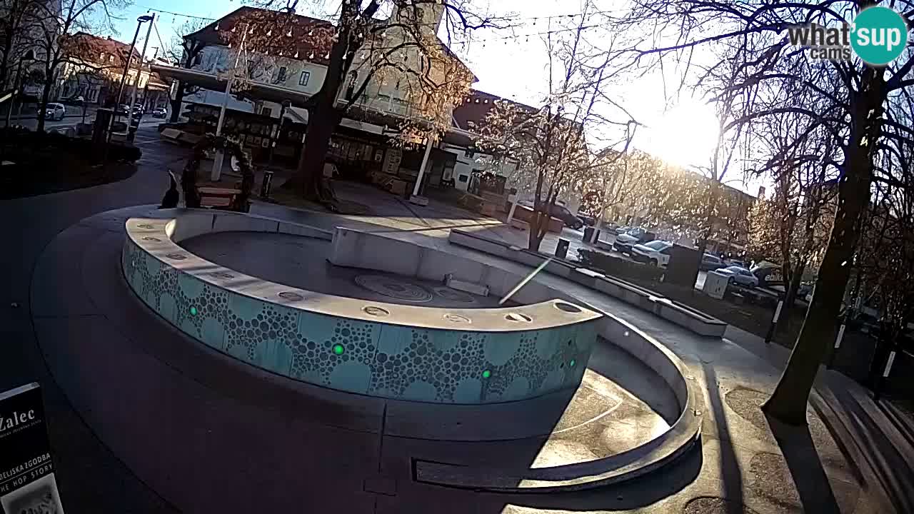 Web kamera Fontana piva – Zeleno zlato – Žalec