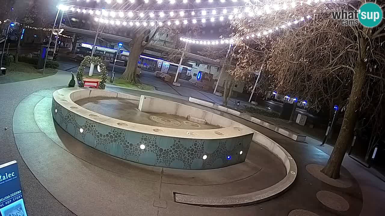 Fontana di birra Webcam – Oro verde – Žalec