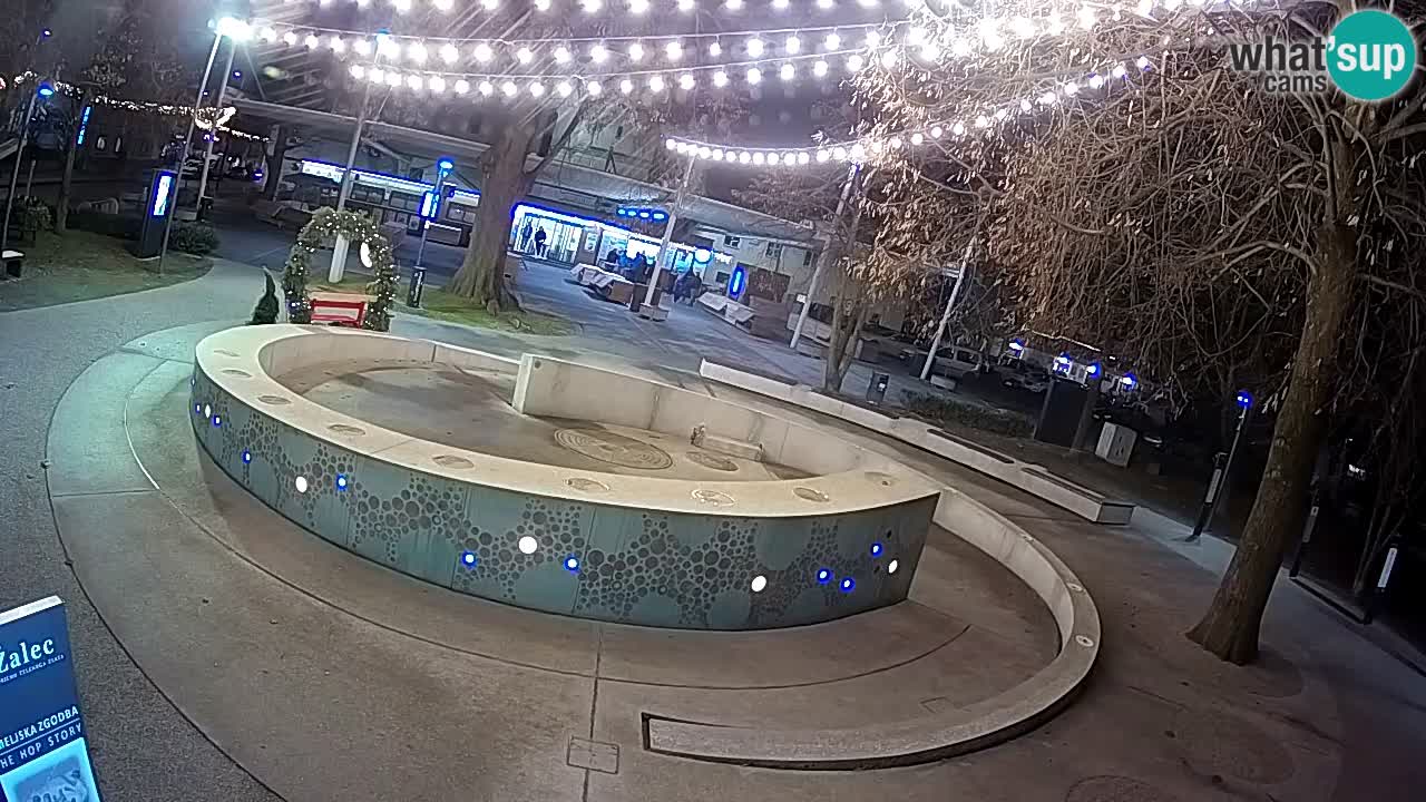Bier-Springbrunnen Webcam Žalec – Grünen Goldes