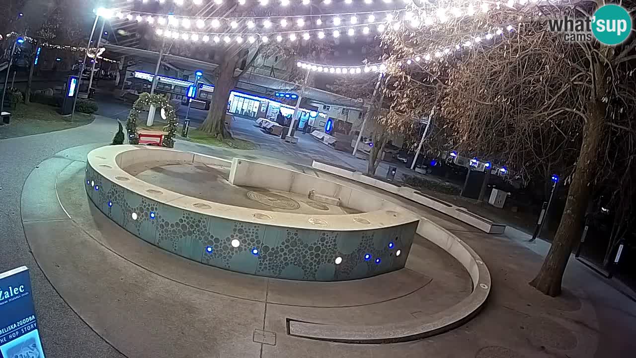 Fontaine à bière LIVE webcam – Or vert – Žalec