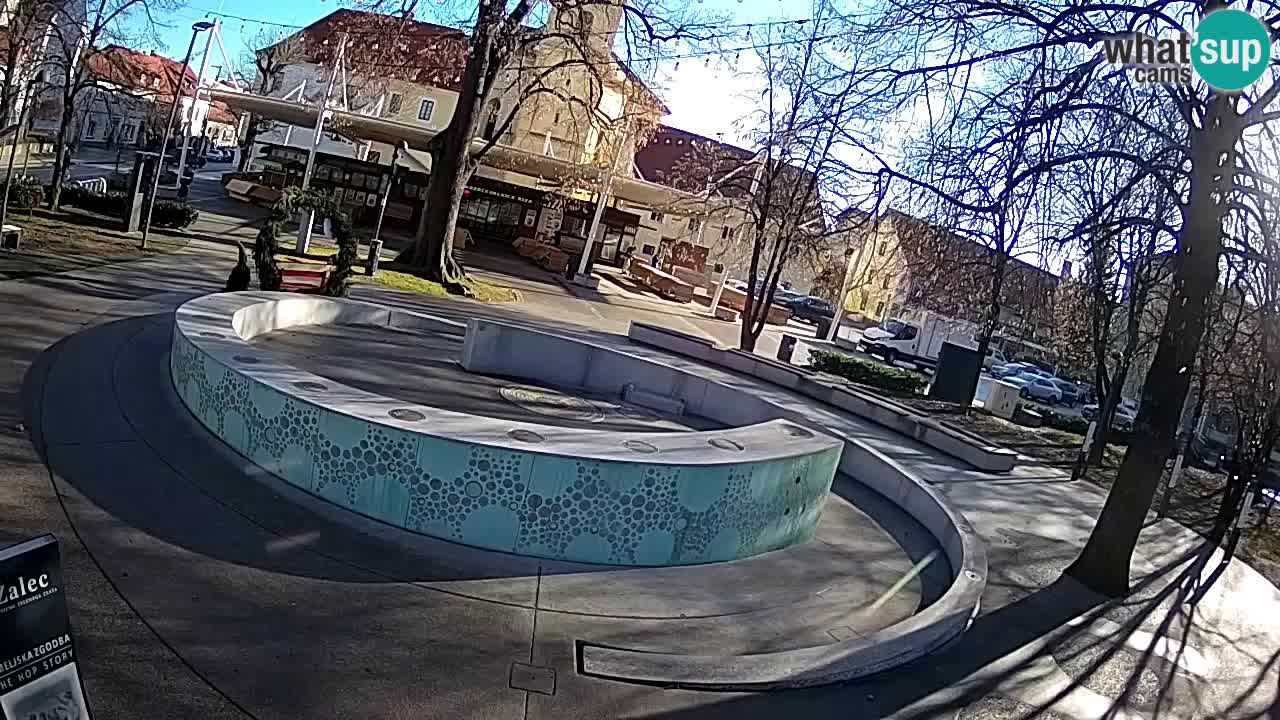 Camera en vivo Fuente de cerveza – Oro verde – Žalec