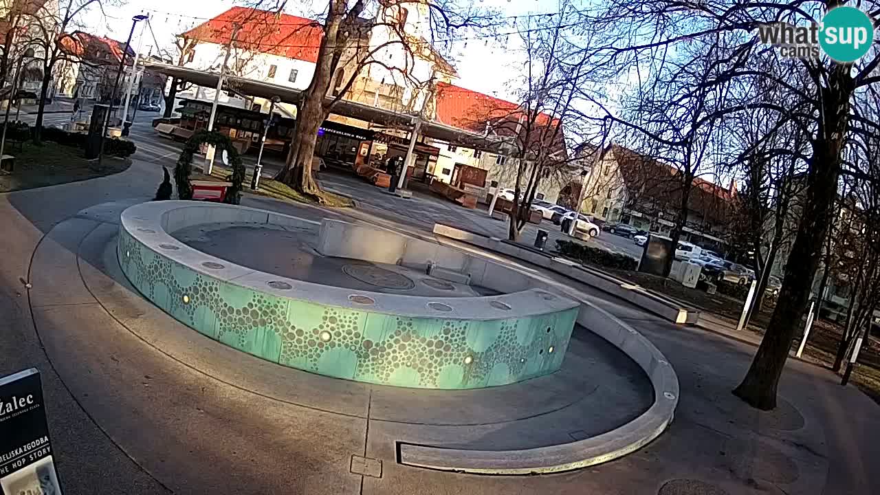 Bier-Springbrunnen Webcam Žalec – Grünen Goldes