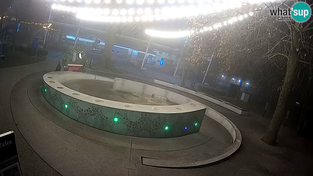 Web kamera Fontana piva – Zeleno zlato – Žalec