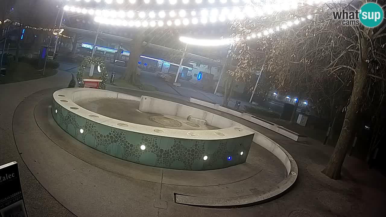 Web kamera Fontana piva – Zeleno zlato – Žalec