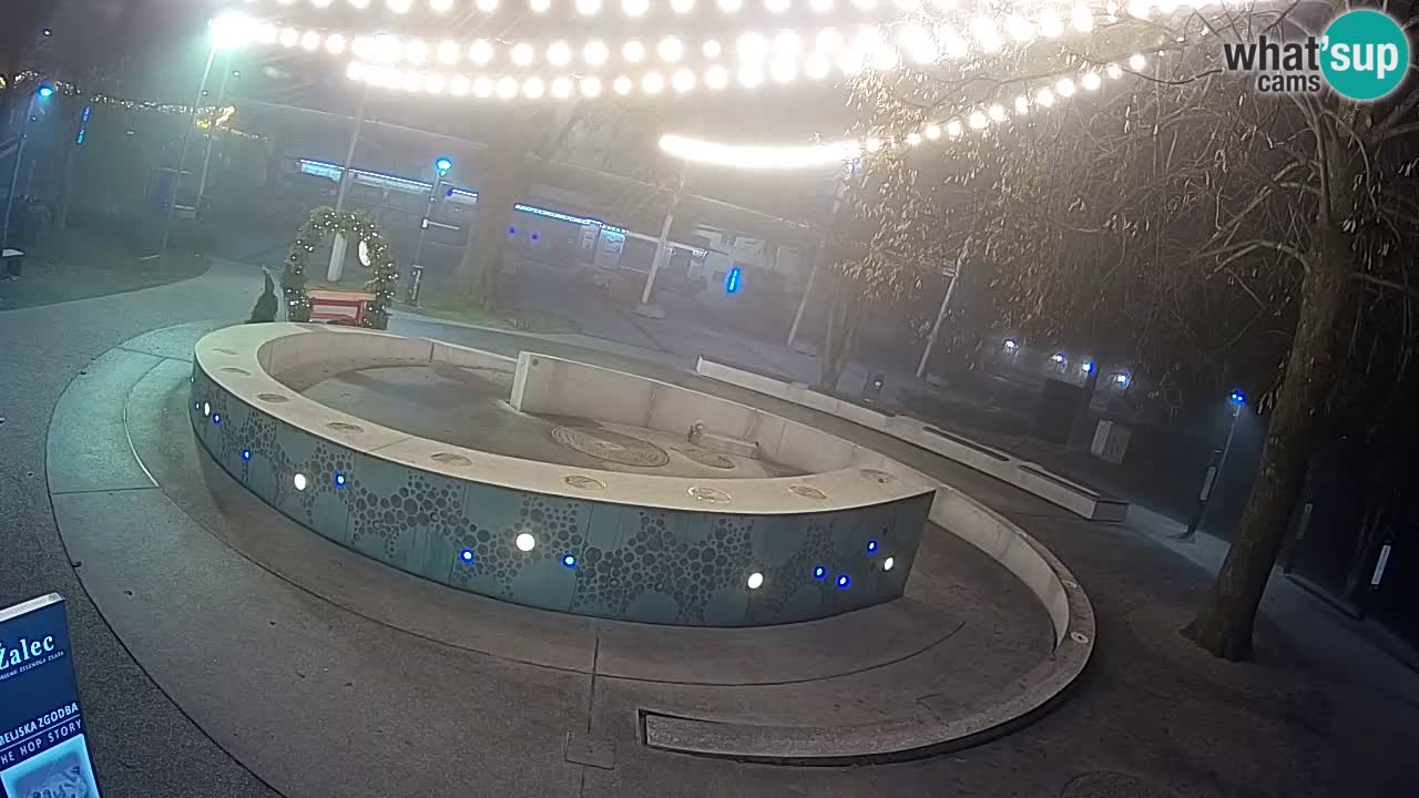 Web kamera Fontana piva – Zeleno zlato – Žalec