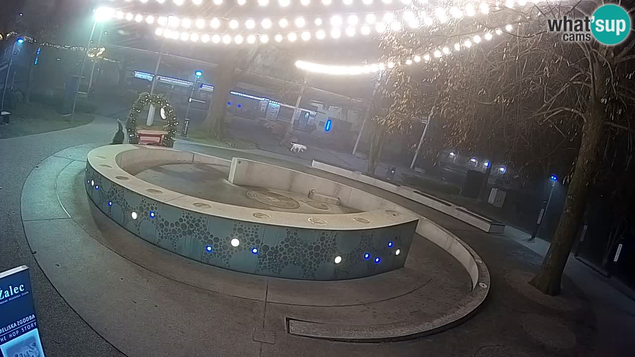 Web kamera Fontana piva – Zeleno zlato – Žalec