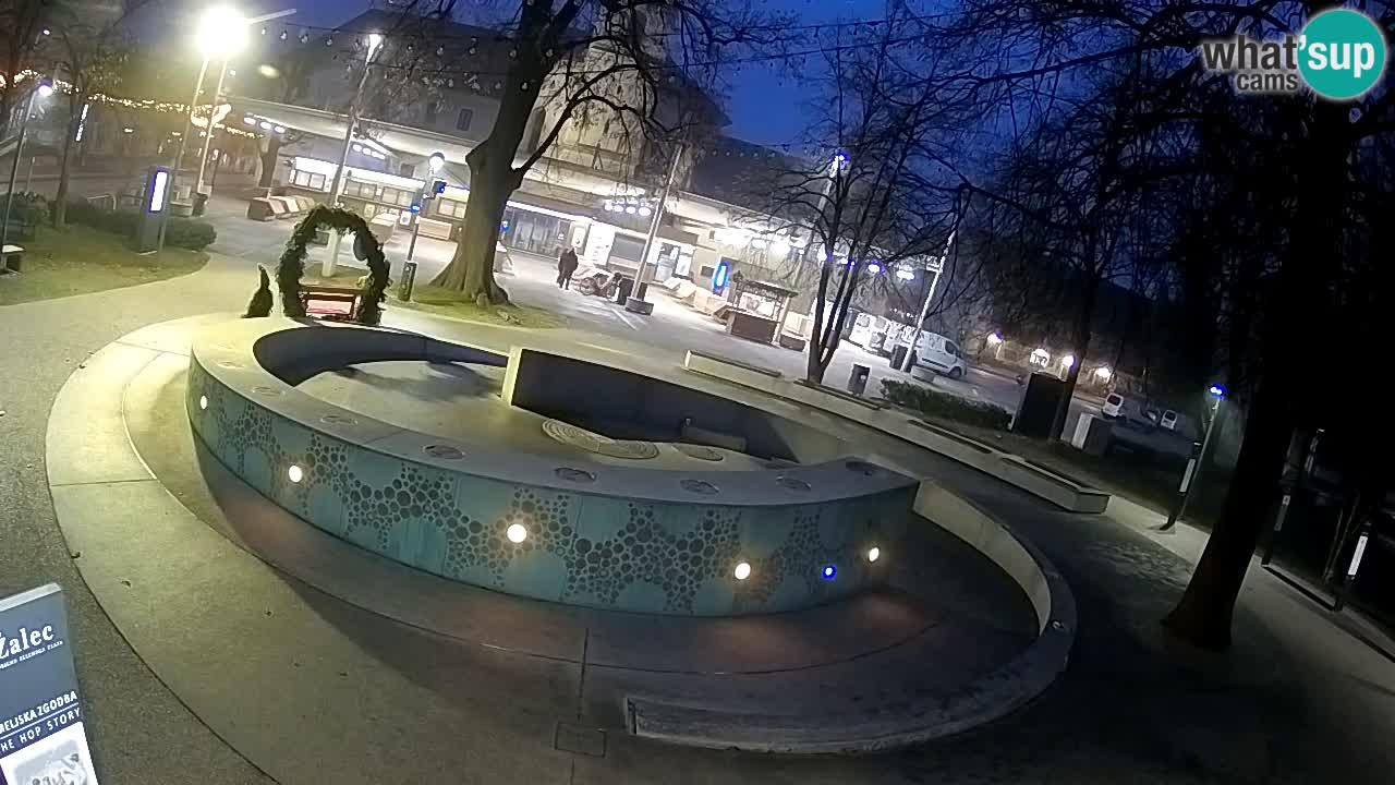 Web kamera Fontana piva – Zeleno zlato – Žalec