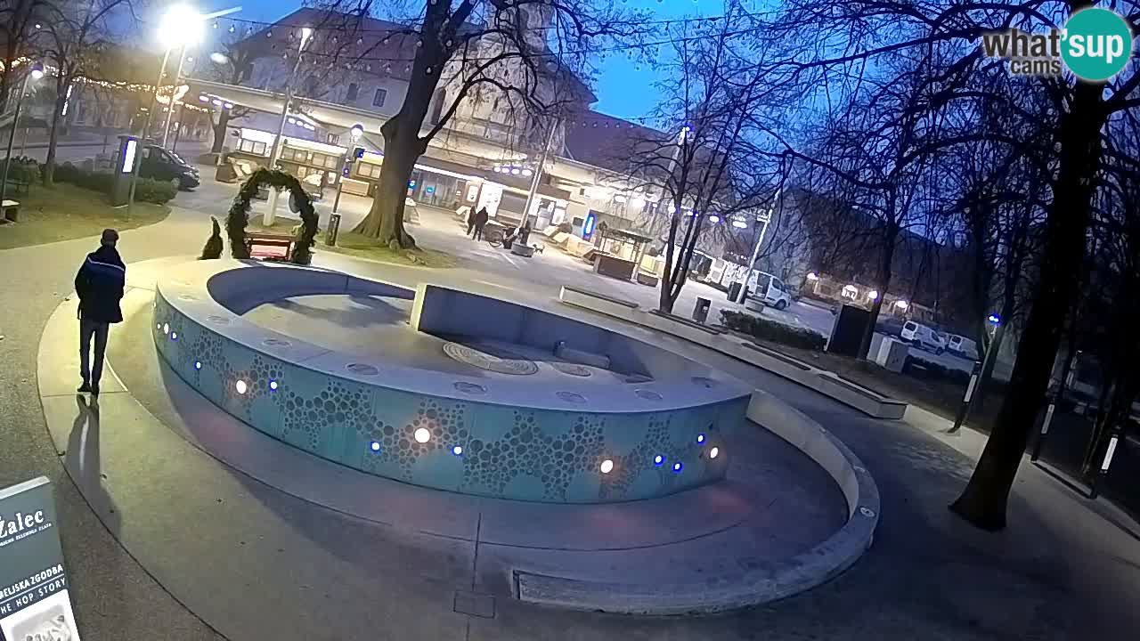 Spletna kamera Fontana Piv – Zeleno zlato Žalec