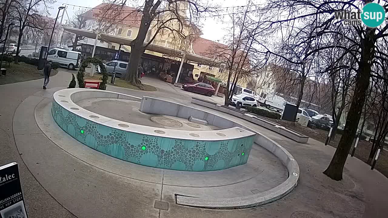 Spletna kamera Fontana Piv – Zeleno zlato Žalec