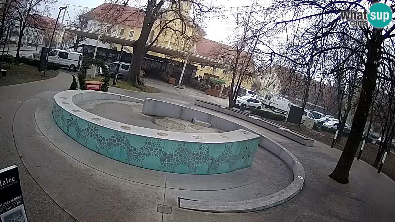 Fontana di birra Webcam – Oro verde – Žalec