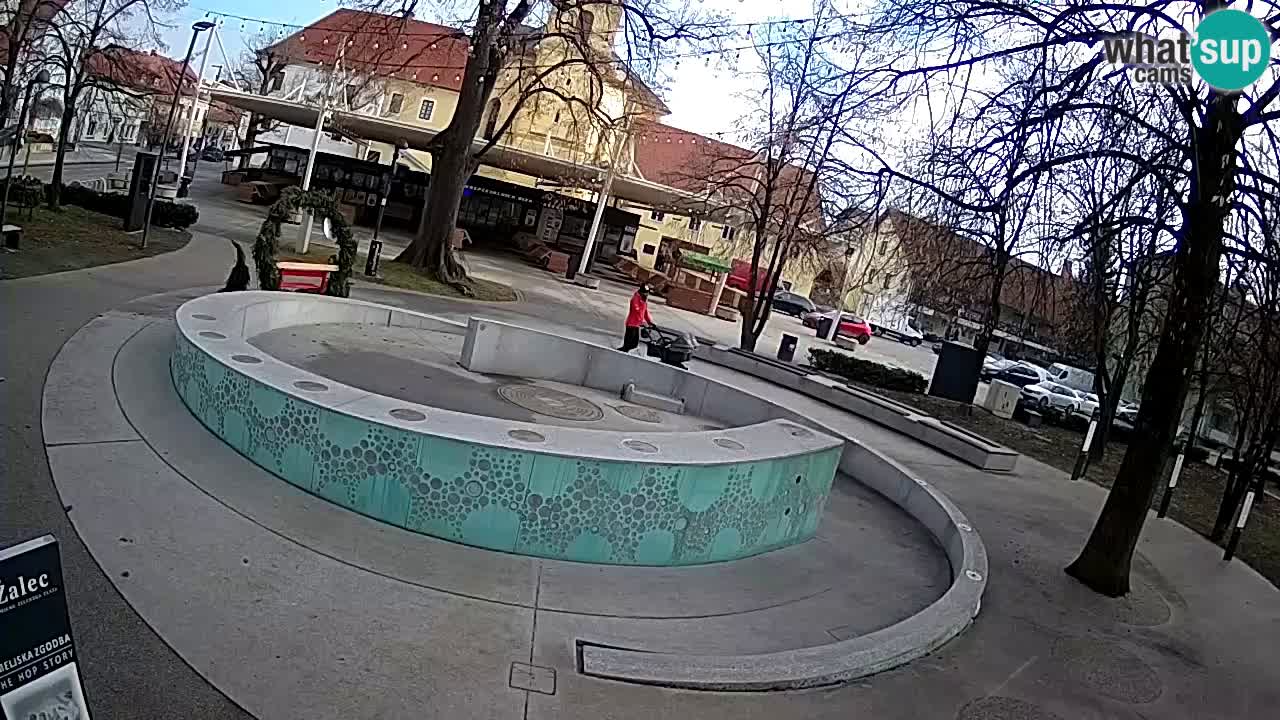 Fontana di birra Webcam – Oro verde – Žalec