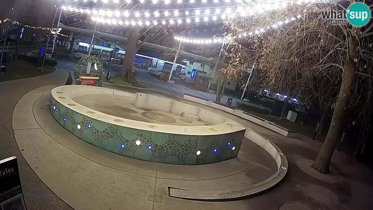 Camera en vivo Fuente de cerveza – Oro verde – Žalec