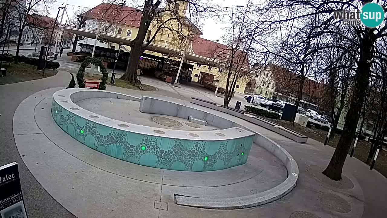 Camera en vivo Fuente de cerveza – Oro verde – Žalec