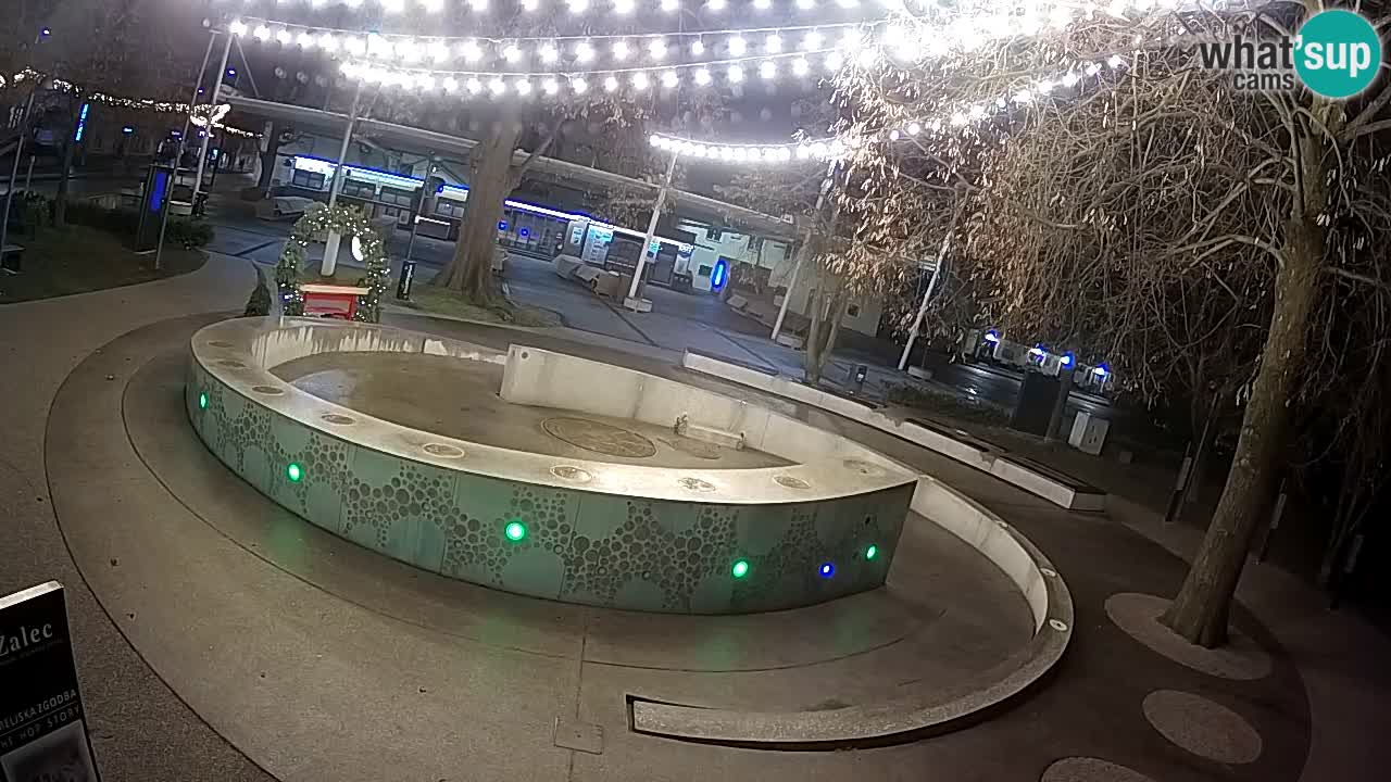 Web kamera Fontana piva – Zeleno zlato – Žalec