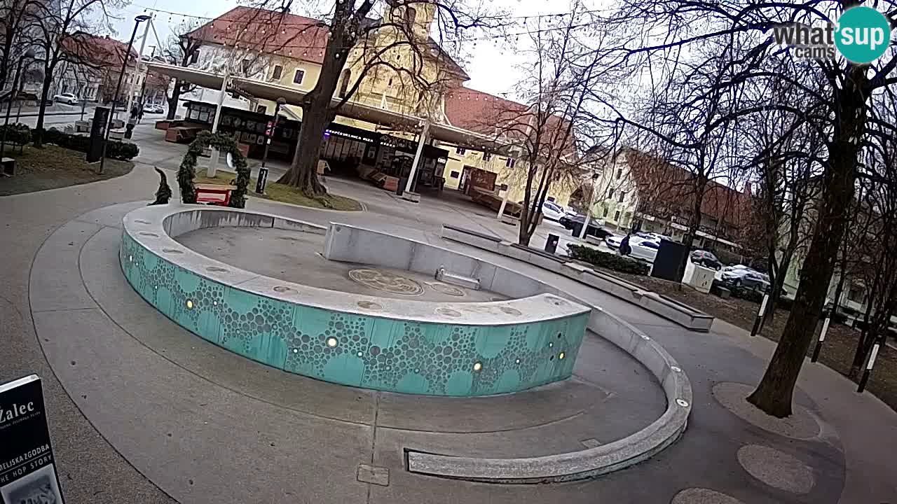 Web kamera Fontana piva – Zeleno zlato – Žalec