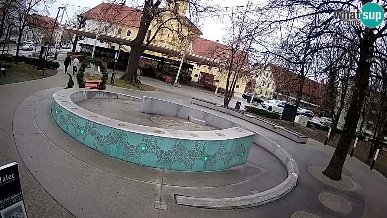 Web kamera Fontana piva – Zeleno zlato – Žalec