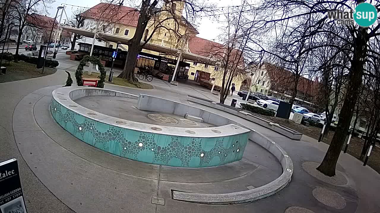 Web kamera Fontana piva – Zeleno zlato – Žalec