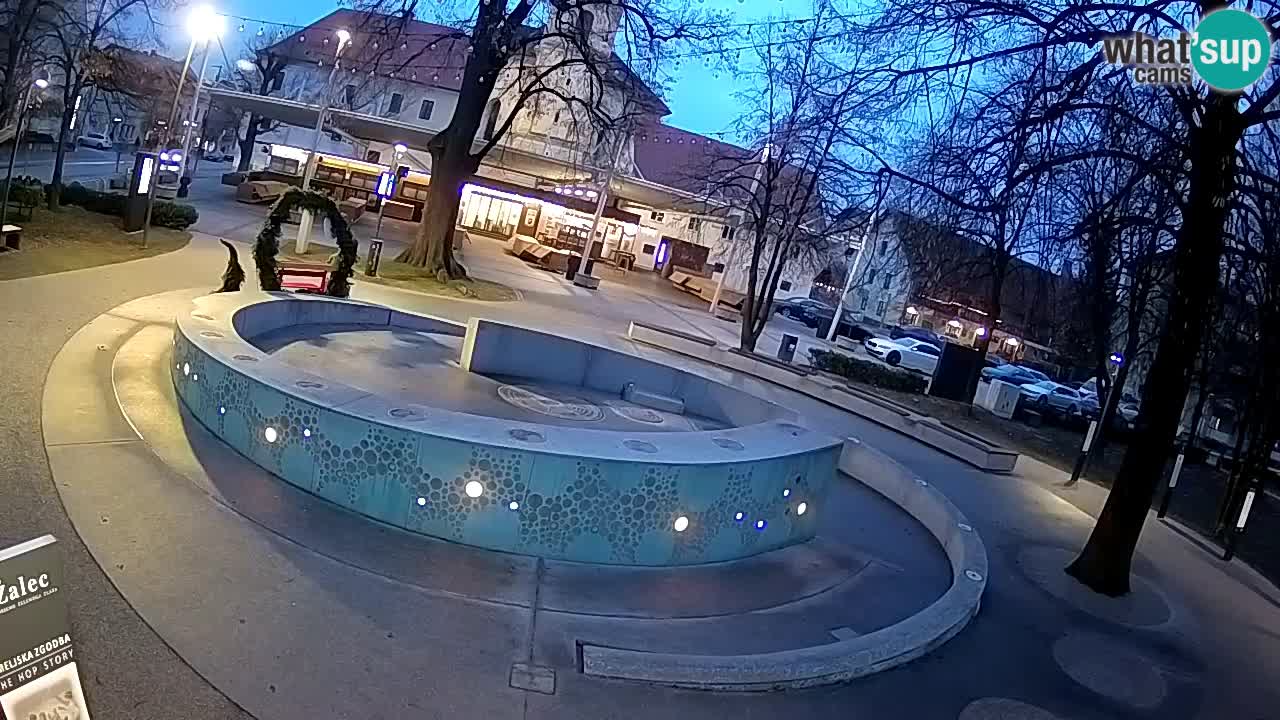 Camera en vivo Fuente de cerveza – Oro verde – Žalec