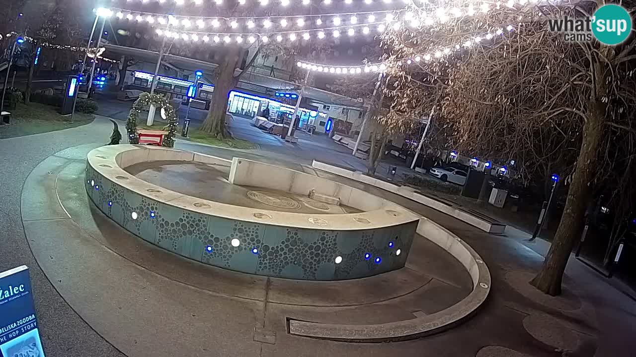 Camera en vivo Fuente de cerveza – Oro verde – Žalec