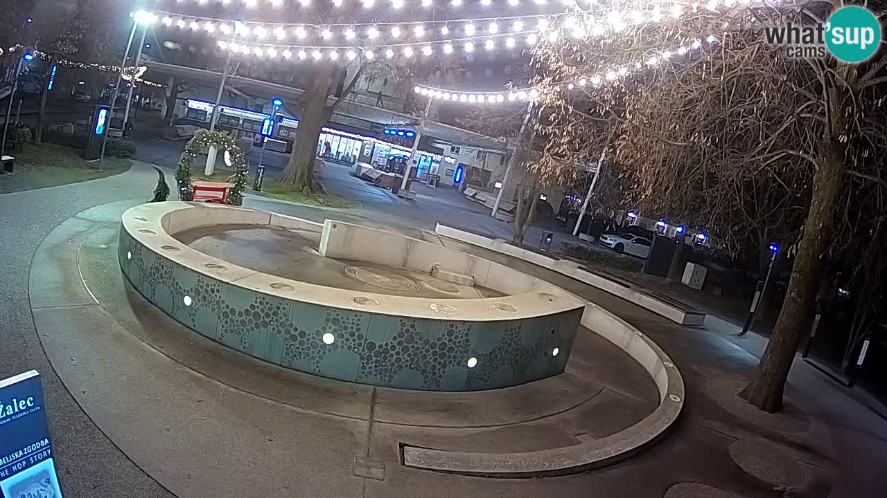 Camera en vivo Fuente de cerveza – Oro verde – Žalec