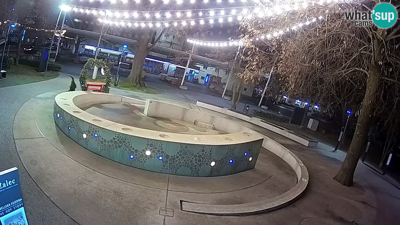 Web kamera Fontana piva – Zeleno zlato – Žalec