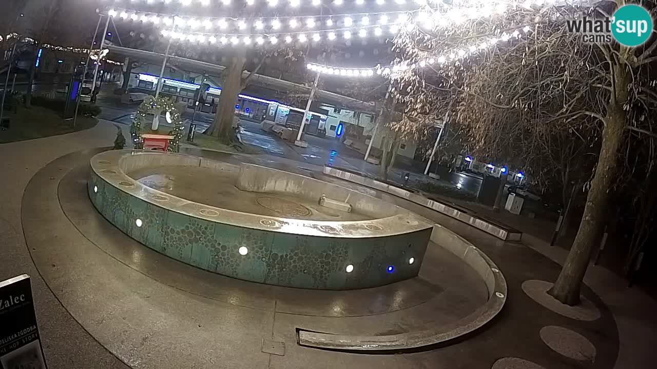 Web kamera Fontana piva – Zeleno zlato – Žalec