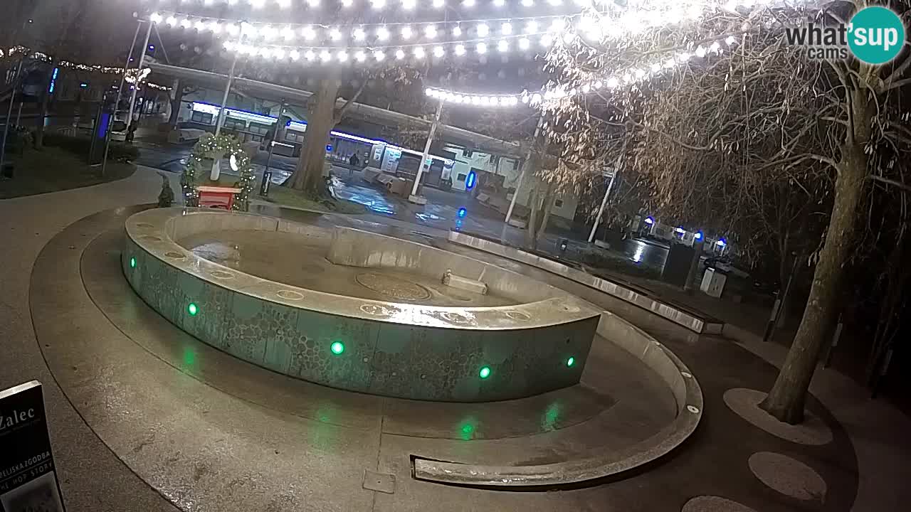 Fontana di birra Webcam – Oro verde – Žalec