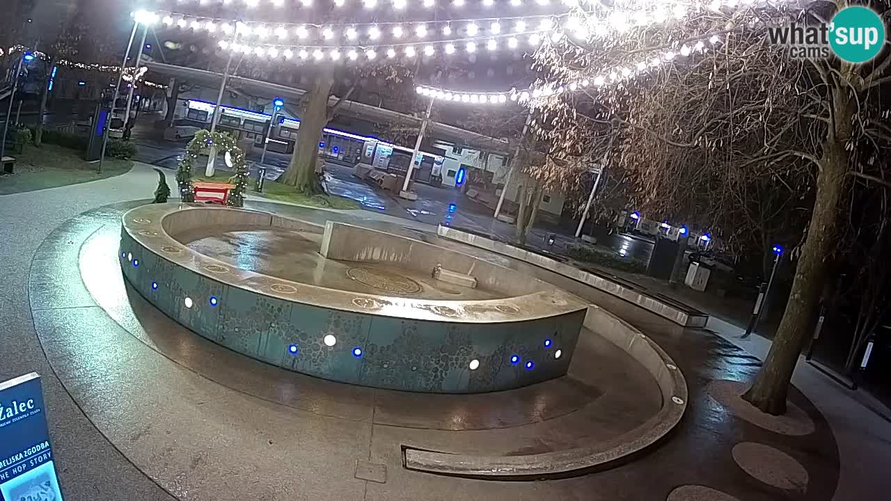 Web kamera Fontana piva – Zeleno zlato – Žalec