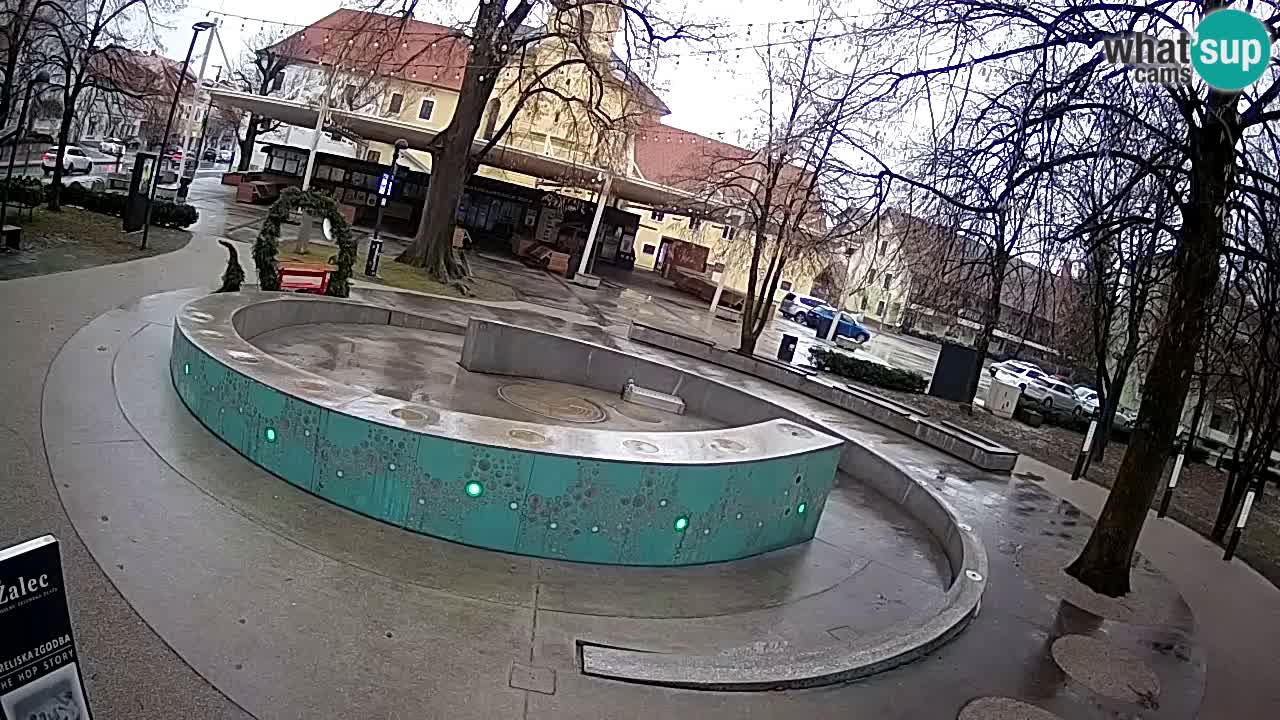 Spletna kamera Fontana Piv – Zeleno zlato Žalec