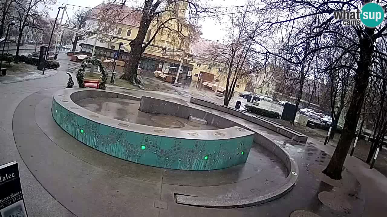 Spletna kamera Fontana Piv – Zeleno zlato Žalec